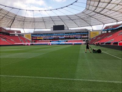 Spielfeld in der BayArena: Pitch of the Year Bundesliga 2022-23