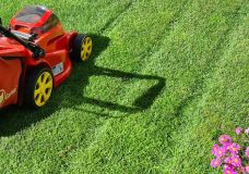 Rasenmäher, kurz und bündig.