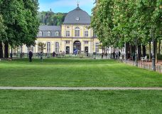 Gebrauchsrasen im Öffentlichen Grün