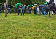 Trockenstress auch in Dänemark.