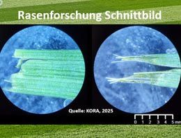 KORA-Forschungsarbeit gewinnt Profil: Gesellschaftlich, ökologisch und praktisch.