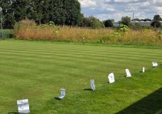 Systematisch angelegte Versuchsfläche mit Parzellenkennzeichnung