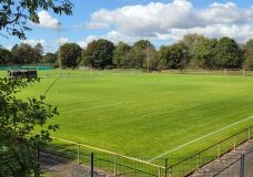 Rasensportplätze im Herbst