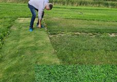 Rasenversuche HS Osnabrück