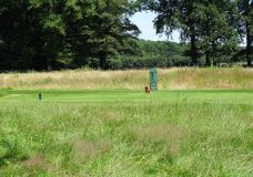 Nachsaat von Rasenflächen