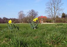 Frühlingserwachen auf dem Golfplatz
