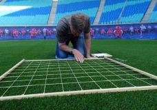 Rasenqualität ist auch eine Frage des Gräserbestandes