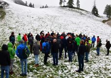 Rasen – auch ein Thema bei der BUGA Heilbronn