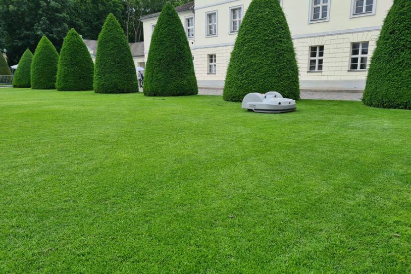 Repräsentationsrasen wird regelmäßig gemäht.