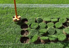 Rasen-Stöpsel für den Austausch