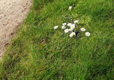 Frühlingsanfang am 1. März