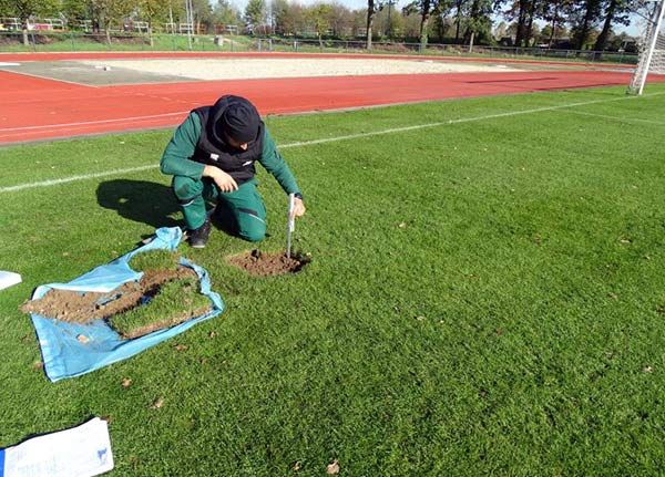 Rasenprüfung durch den Greenkeeper