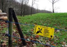 Wildschweine bleiben draußen