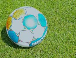 “DFL-Pitch of the Year Award 2022“ ist entschieden, Deutsche Rasengesellschaft gratuliert den Prämierten