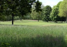 Die meisten Gräser kommen im Juni zur vollen Blüte, wenn sie nicht gemäht werden.