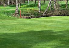 Der Frühling ist zurück.