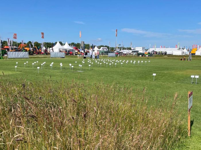 Arten, Sorten und Mischungen demonstrierten die Vielfalt von Rasenflächen.