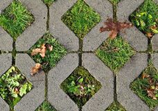 Rasengittersteine, ein Mix aus Pflanzen und stabiler Pflasterfläche