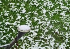 Schneebelag im Februar