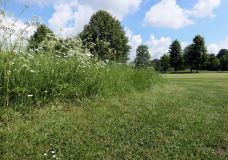 Golfplatz ein Ort für Vielfältigkeit