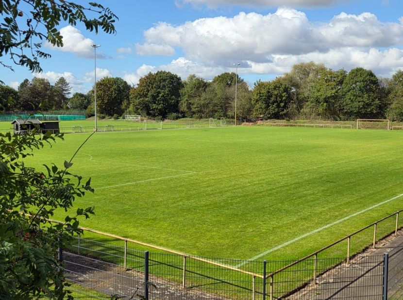 Rasensportplätze im Herbst