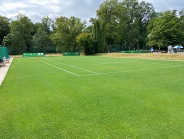 Tennis-Rasen