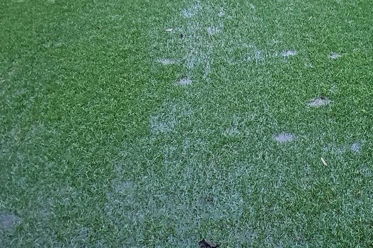 Staunässe durch Bodenschadverdichtungen