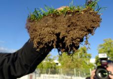 (Foto: Dr. K. G. Müller-Beck)