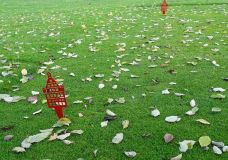 (Foto: Dr. K. G. Müller-Beck)