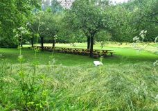 Im Rahmen einer Landesgartenschau schaffen die Rasenflächen oft das Umfeld zu den Rabatten- Pflanzungen.