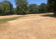 Rasen braucht Wasser