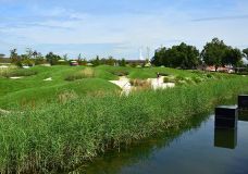 Rasen – auch ein Thema bei der BUGA Heilbronn