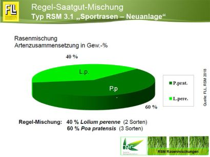 Typ RSM 3.1 „Sportrasen – Neuanlage“