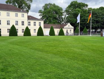 Rasen als Repräsentationsgrün