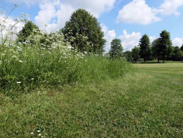 Golfplatz ein Ort für Vielfältigkeit