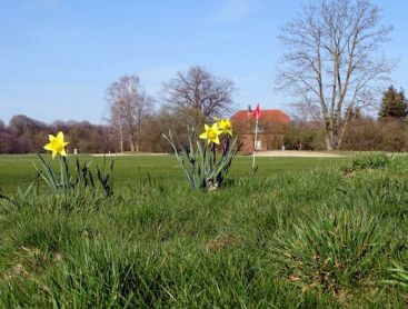 Frühlingserwachen auf dem Golfplatz