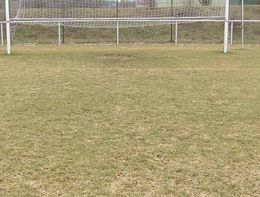 „Turfgrass Winter-Stress Management“ Informationen aus Skandinavien