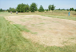 Totalausfall der „cool season“ Gräser auf dem Golfabschlag bei Hitzeperioden in Süddeutschland.