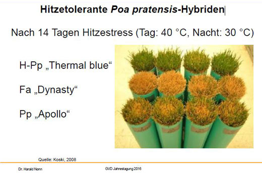 Gefäßversuch in der Klimakammer 