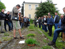 Erläuterungen zur Entwicklung von „Warm Season Grasses“