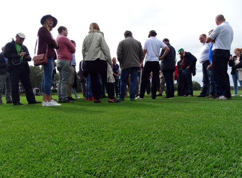 ETS-Gruppe auf der Fertigrasenfläche der Firma Richter Rasen in Zavod, Slowakei.