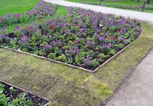 Toter Rollrasen zur Abgrenzung. 