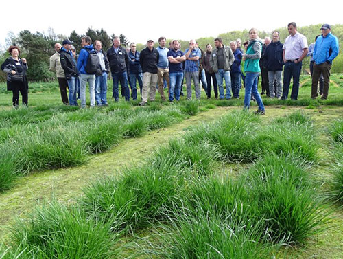 Abb. 1: Erläuterungen zur Einzelpflanzen-Selektion im Versuchsfeld.