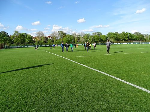 Abb. 5: Besichtigung von Hybridrasen-Flächen im Trainingsgelände von Werder Bremen.