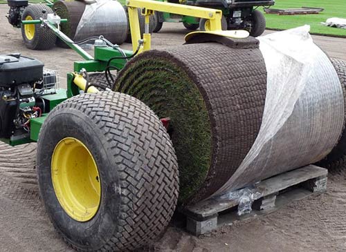 Fertigrasen von der Rolle.