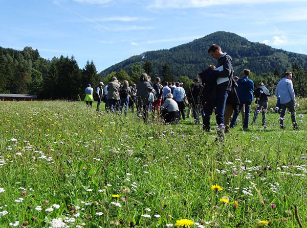 Besichtigung der Versuchsflächen an der HBLFA Raumberg-Gumpenstein.
