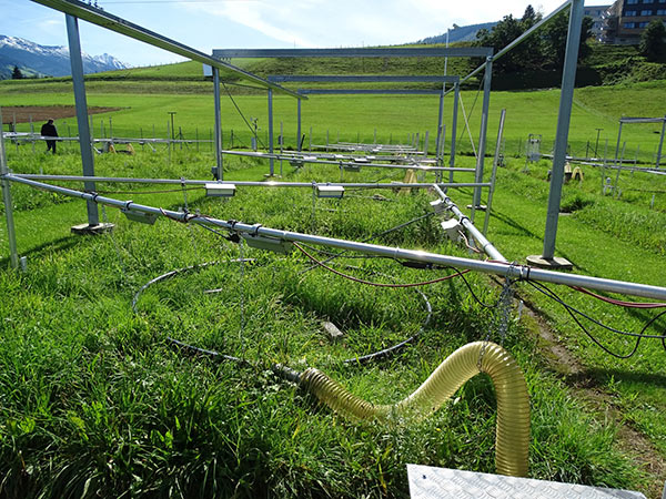 Versuchsfläche des ClimGrass Forschungsprojektes.