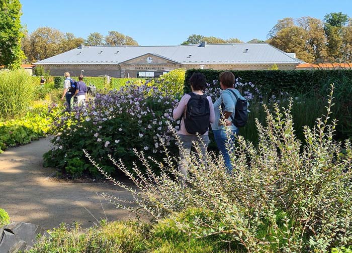 Skulpturengarten mit Deutschem Gartenbaumuseum im Hintergrund