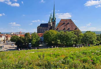 Blick zurück auf den Erfurter Dom.