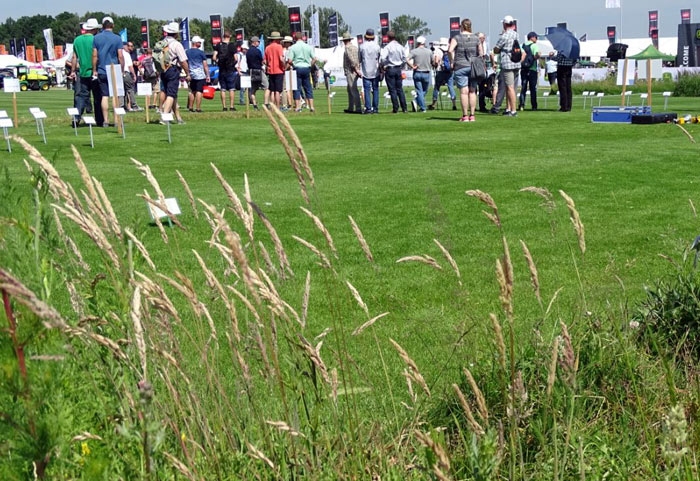 Gräserarten und zahlreiche Sorten für die verschiedenen Rasentypen werden bei der Sonderschau Rasen in Eisenach gezeigt.